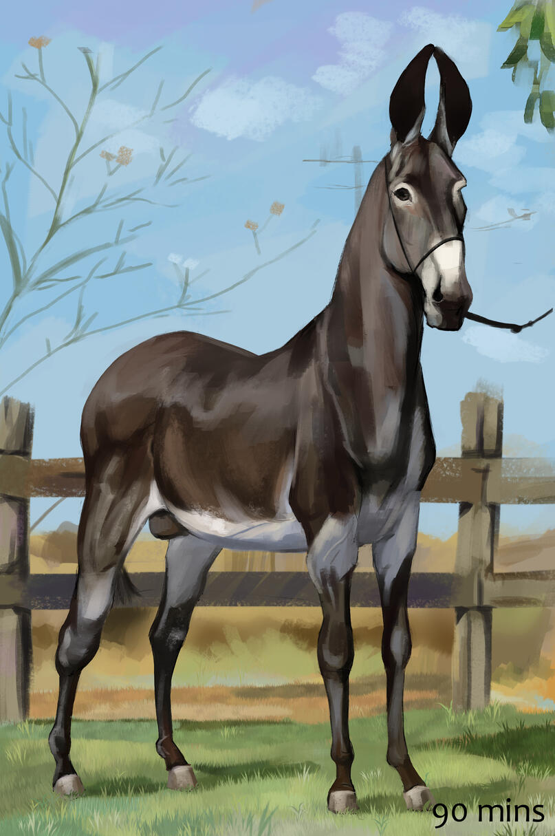 Photo reference