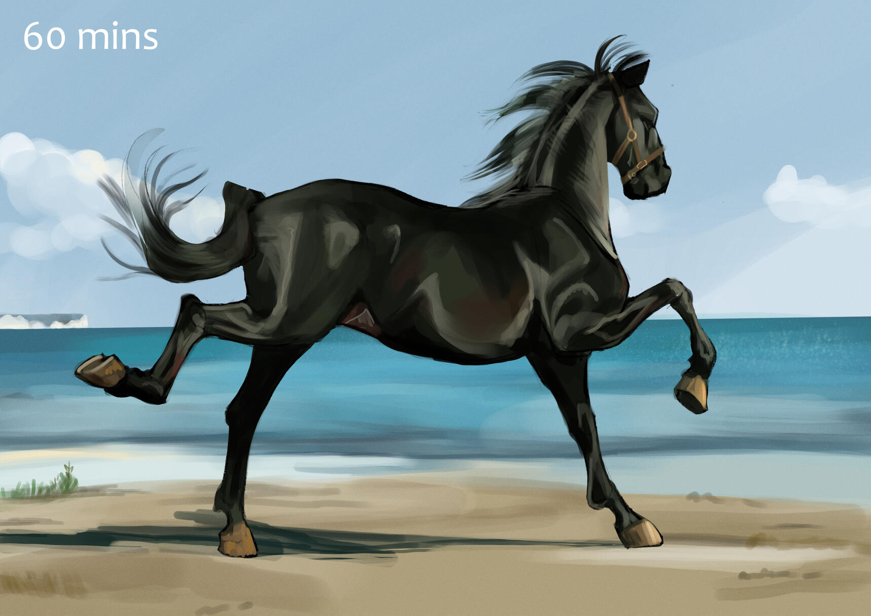 Photo reference